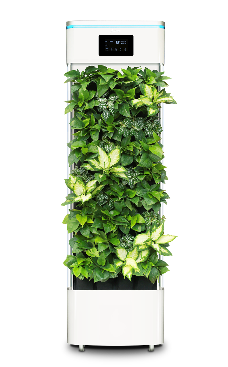 Budget Room Makeover Essentials for Small Bedrooms in the Philippines